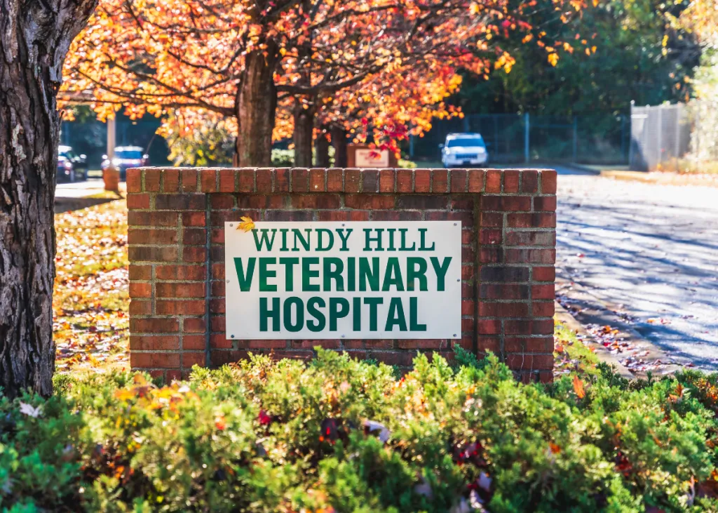 Windy Hill Veterinary Hospital