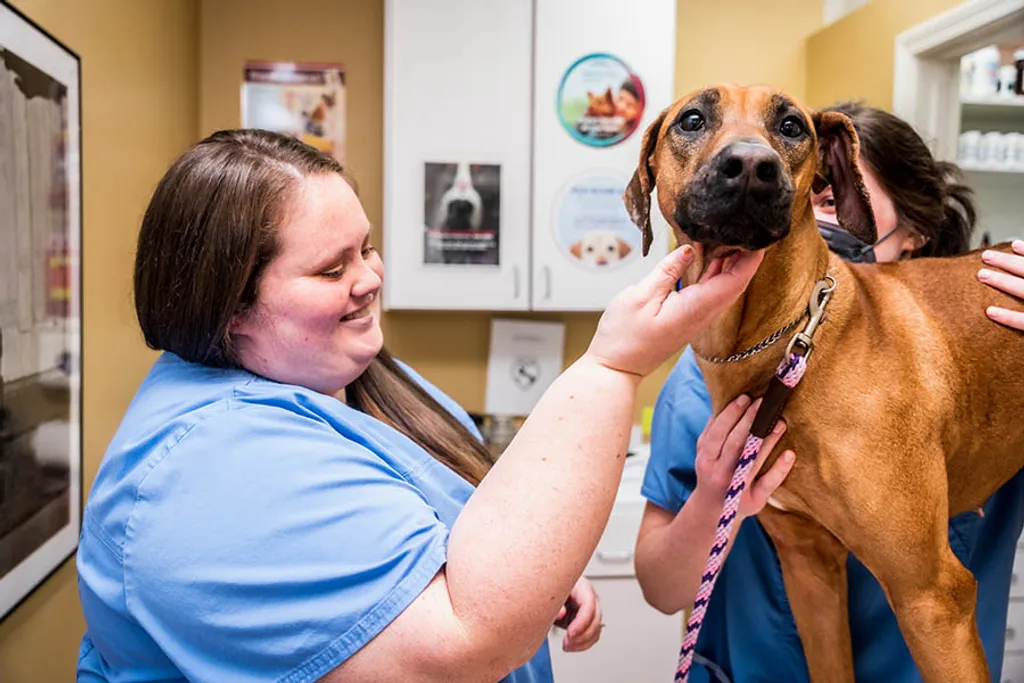 Windy Hill Veterinary Hospital