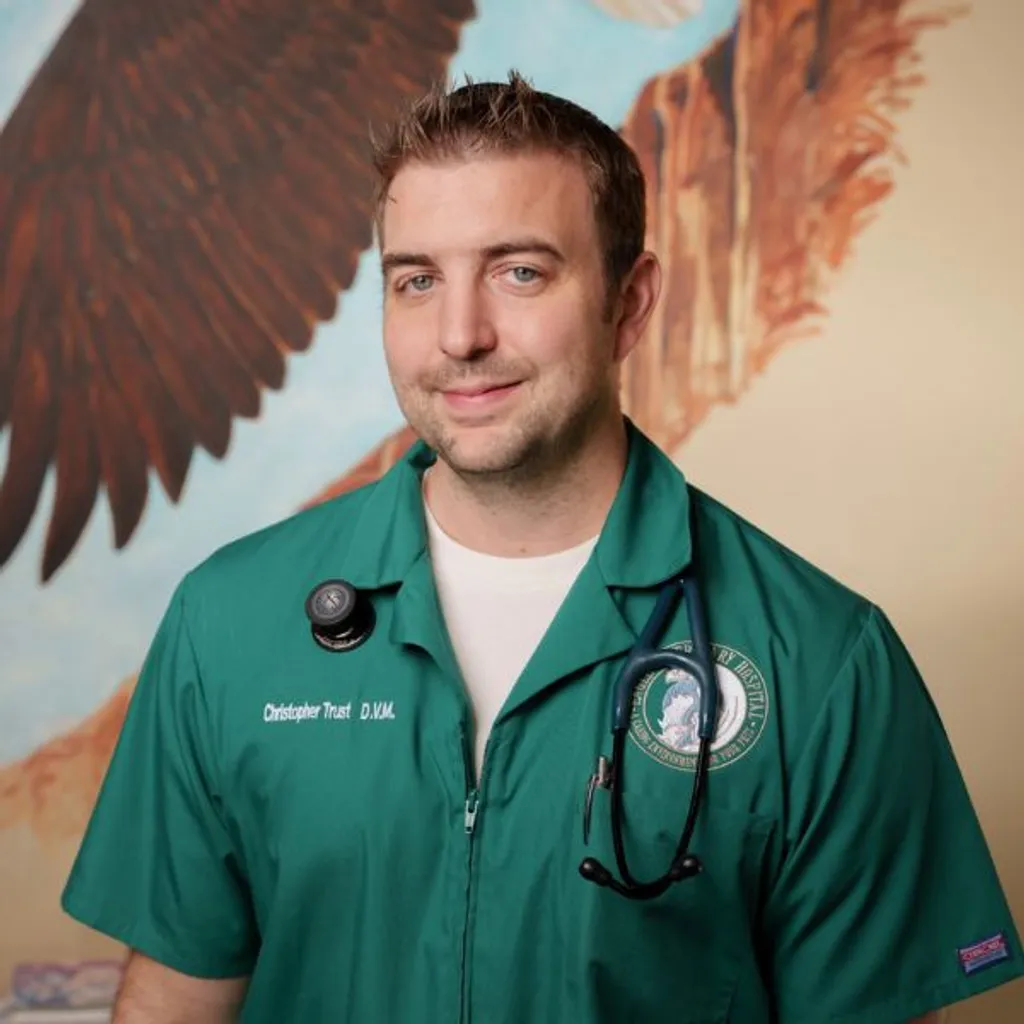 Eagle Veterinary Hospital