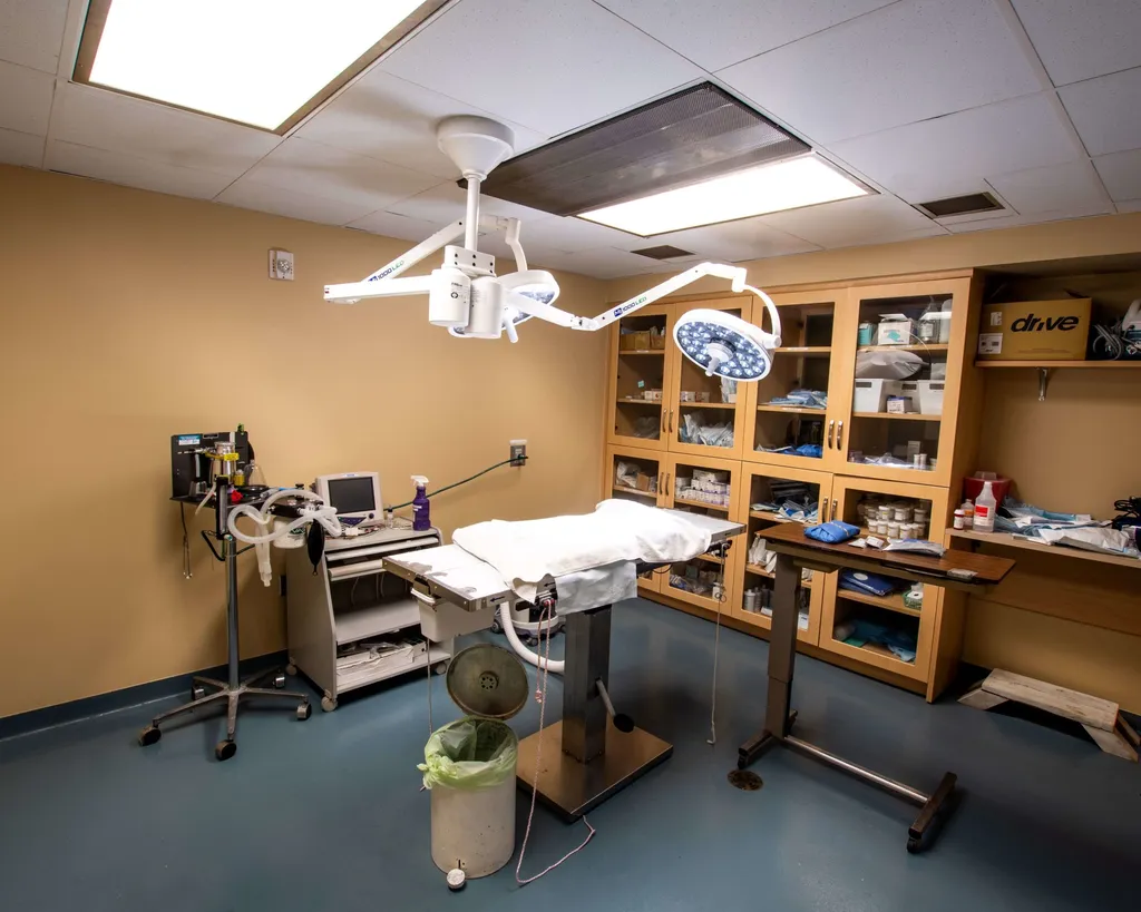 Eagle Veterinary Hospital