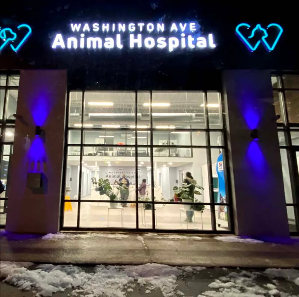 Washington Ave Animal Hospital