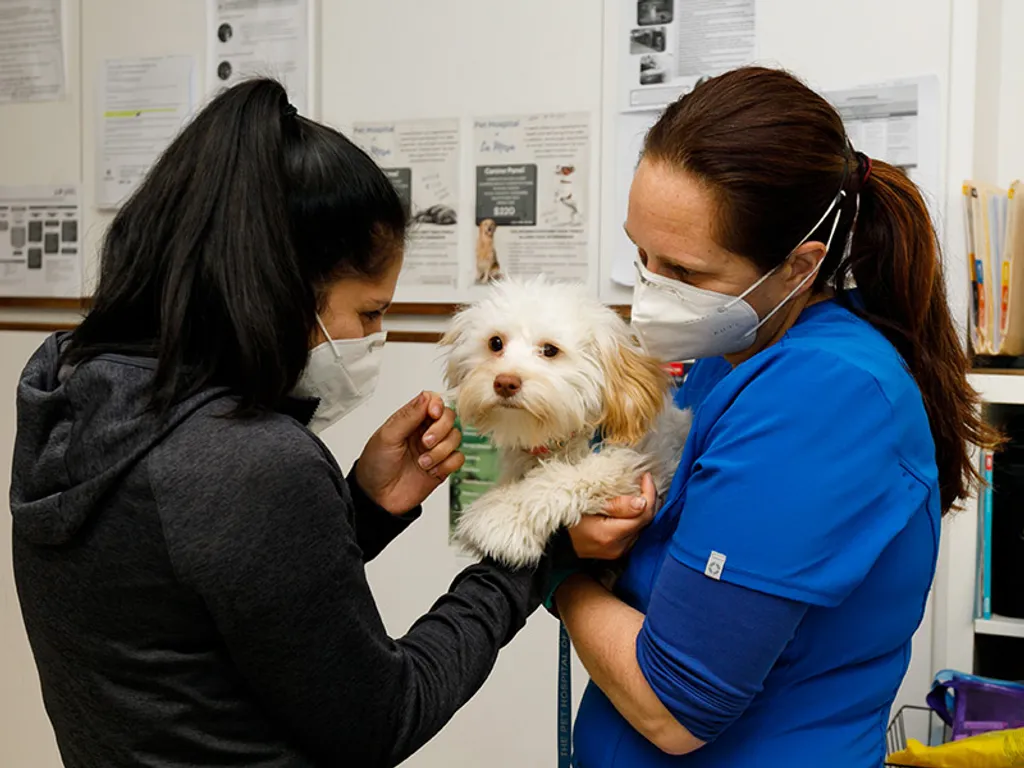 The Pet Hospital of La Mesa