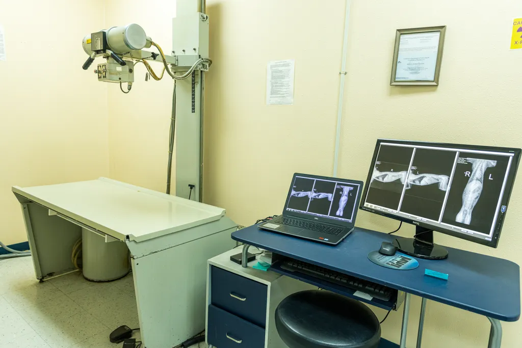 Shadow Hills Pet Clinic