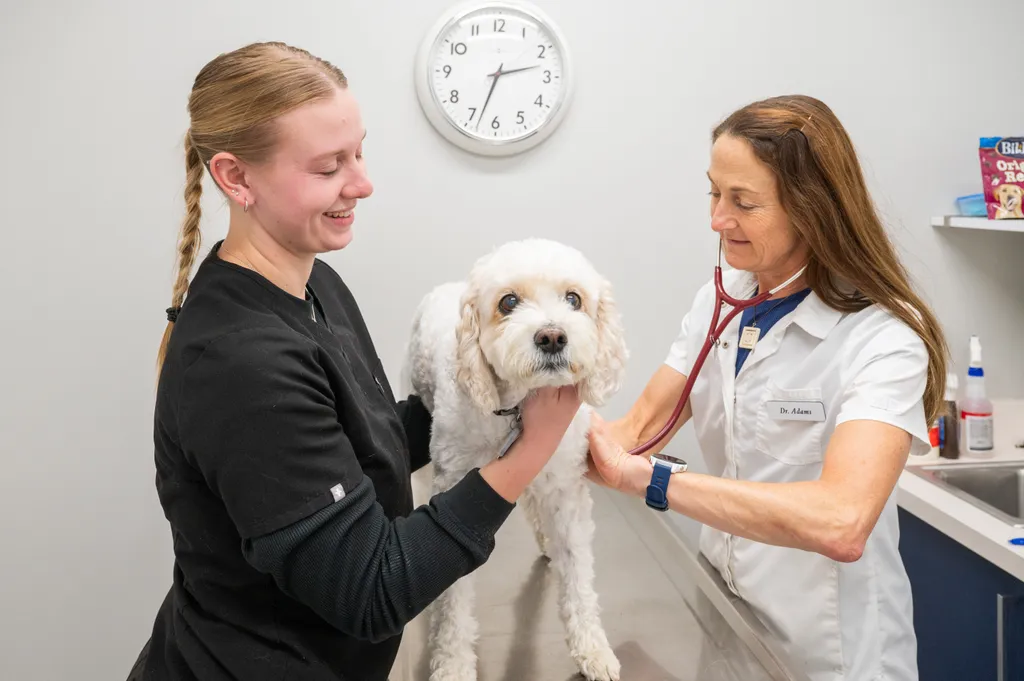 Southdale Pet Hospital
