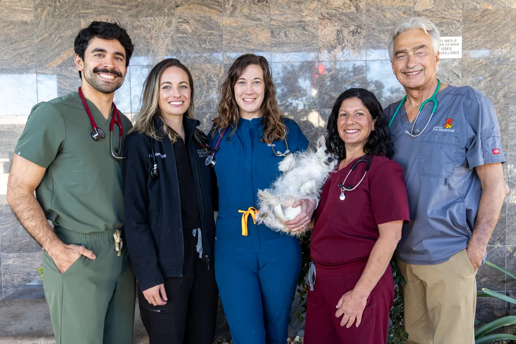 Cabrillo Pet Hospital
