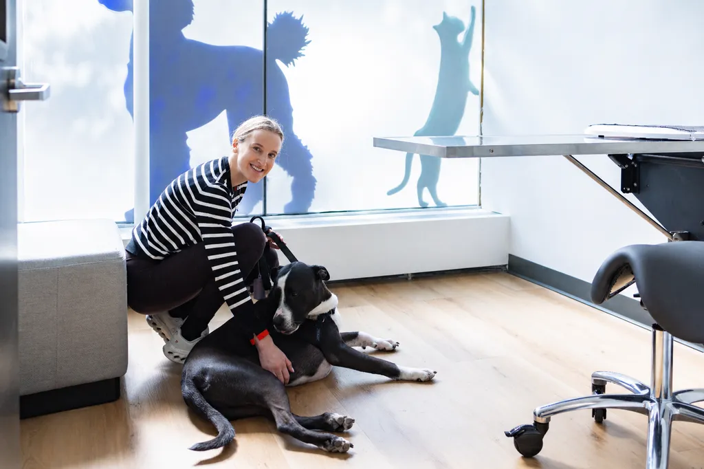 University Animal Hospital