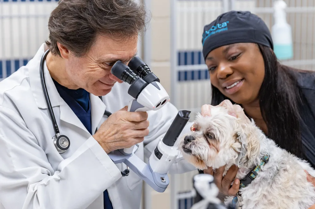North Houston Veterinary Ophthalmology